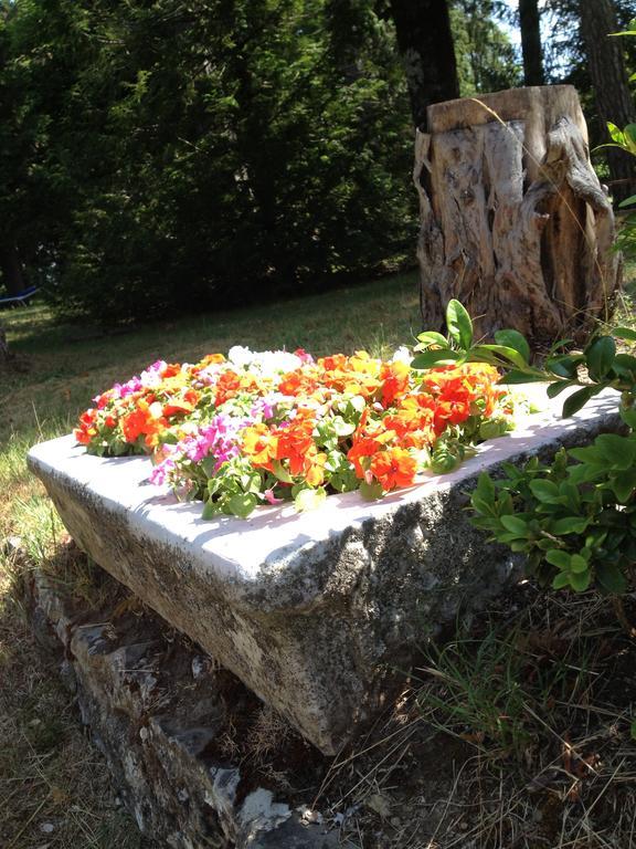 Grand Hotel Vallombrosa Saltino ภายนอก รูปภาพ